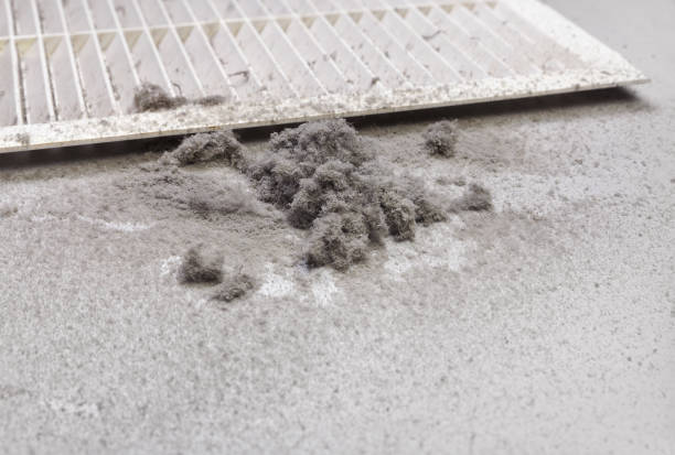 Best Commercial Air Duct Cleaning  in Richton Park, IL