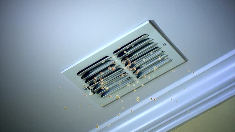  Richton Park, IL Airduct Cleaning Pros
