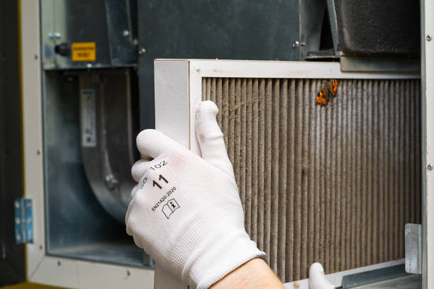 Best Professional Duct Cleaning Services  in Richton Park, IL