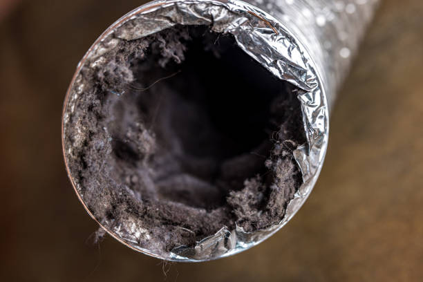 Best Air Duct Cleaning Cost  in Richton Park, IL