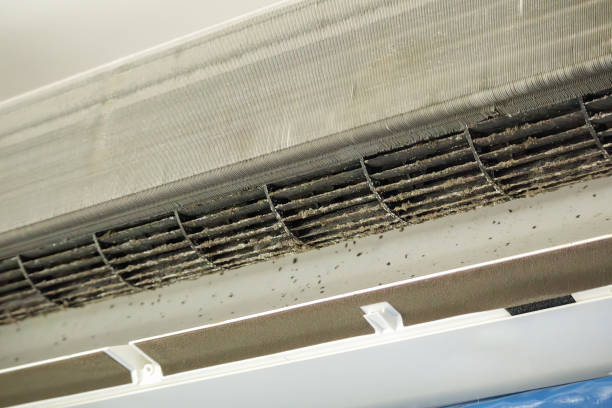 Best HVAC Maintenance and Cleaning  in Richton Park, IL